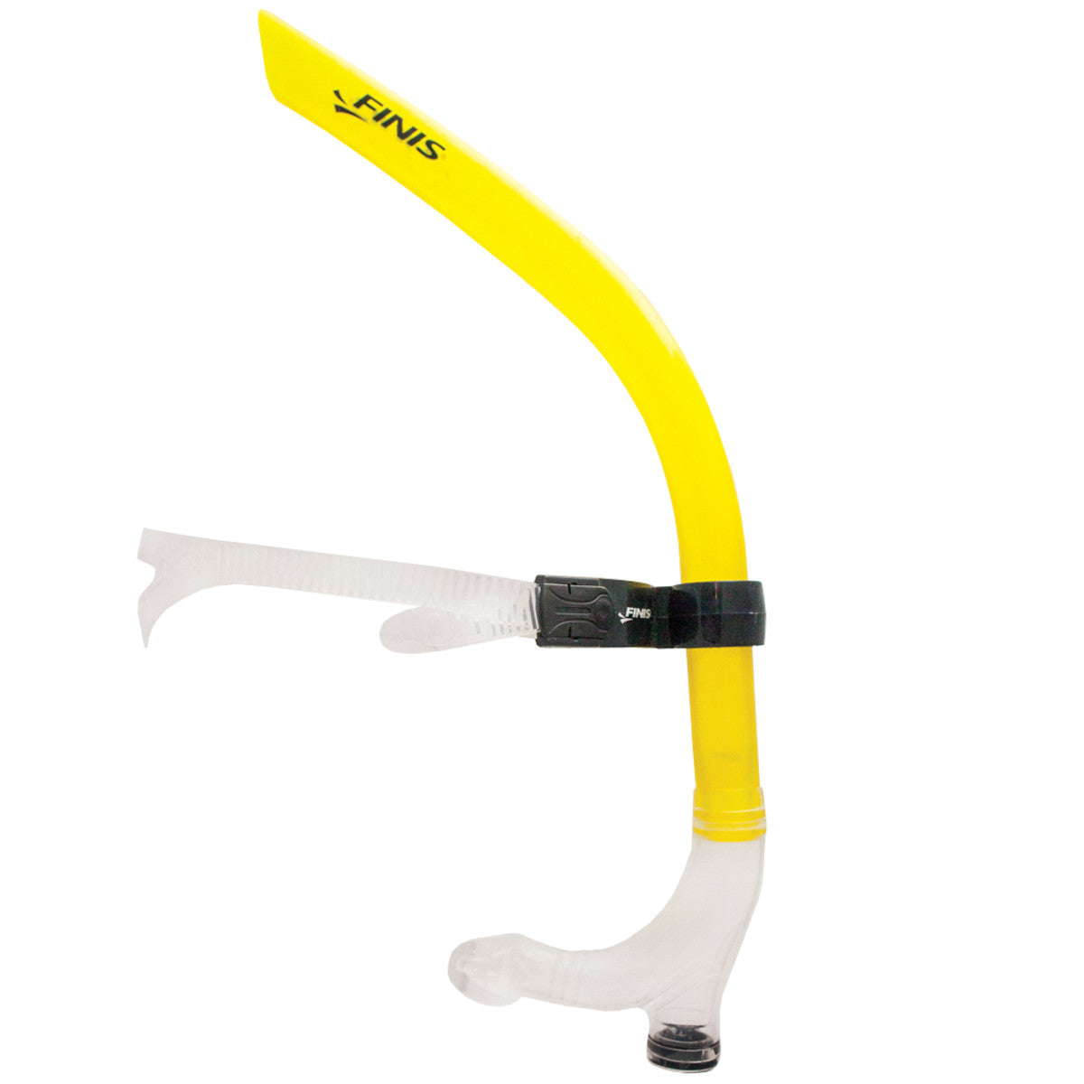 Snorkel - Adult